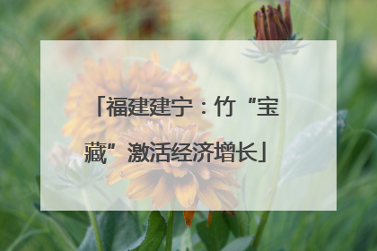 福建建宁：竹“宝藏”激活经济增长