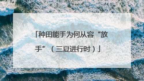 种田能手为何从容“放手”（三夏进行时）
