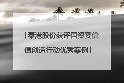 秦港股份获评国资委价值创造行动优秀案例