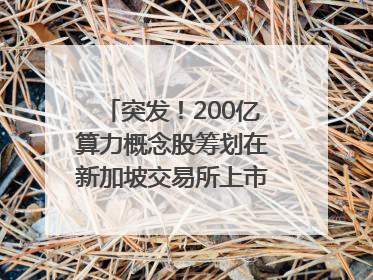 突发！200亿算力概念股筹划在新加坡交易所上市｜盘后公告集锦