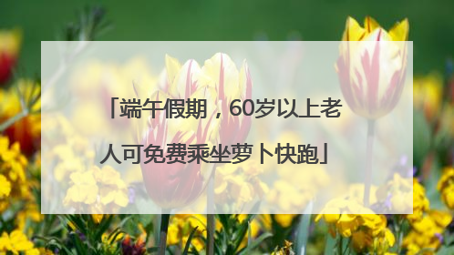 端午假期，60岁以上老人可免费乘坐萝卜快跑