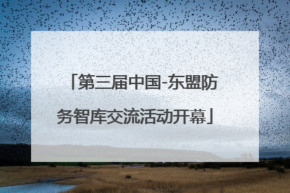 第三届中国-东盟防务智库交流活动开幕