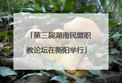 第三届湖南民盟职教论坛在衡阳举行