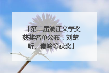 第二届漓江文学奖获奖名单公布，刘楚昕、秦岭等获奖