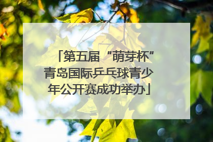 第五届“萌芽杯”青岛国际乒乓球青少年公开赛成功举办