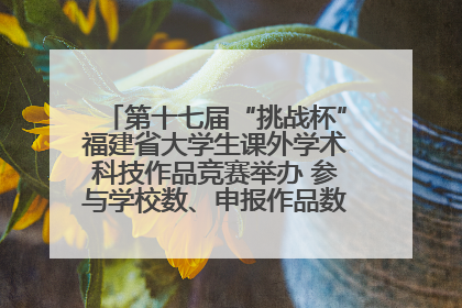 第十七届“挑战杯”福建省大学生课外学术科技作品竞赛举办 参与学校数、申报作品数创历史新高