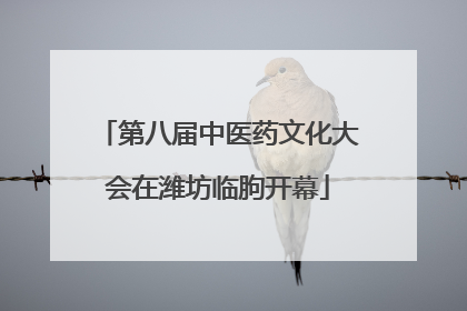 第八届中医药文化大会在潍坊临朐开幕