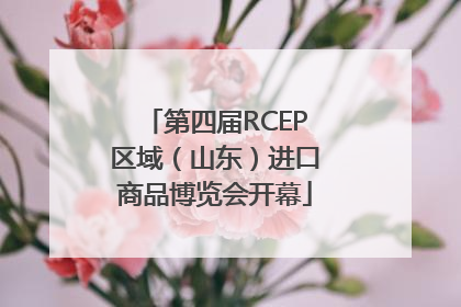 第四届RCEP区域（山东）进口商品博览会开幕