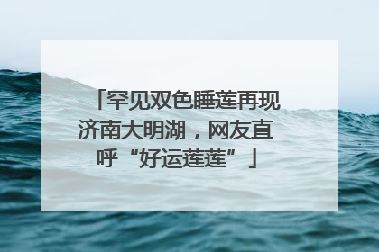 罕见双色睡莲再现济南大明湖，网友直呼“好运莲莲”