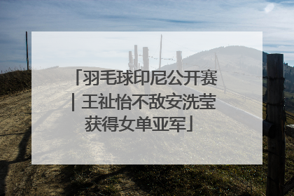 羽毛球印尼公开赛｜王祉怡不敌安洗莹 获得女单亚军