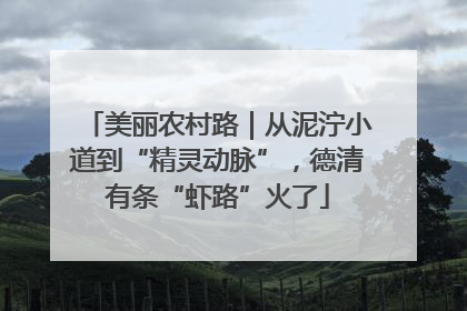 美丽农村路｜从泥泞小道到“精灵动脉”，德清有条“虾路”火了