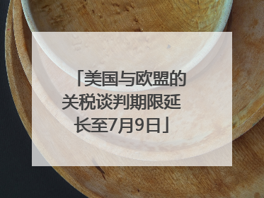 美国与欧盟的关税谈判期限延长至7月9日