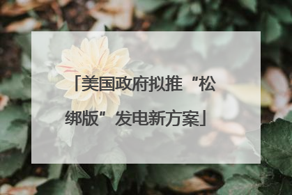 美国政府拟推“松绑版”发电新方案