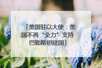 美国驻以大使：美国不再“全力”支持巴勒斯坦建国