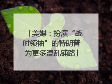 美媒：扮演“战时领袖”的特朗普为更多混乱铺路