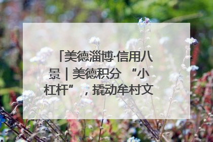 美德淄博·信用八景｜美德积分 “小杠杆”，撬动牟村文明 “大能量”