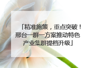 精准施策，重点突破！邢台一群一方案推动特色产业集群提档升级
