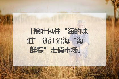 粽叶包住“海的味道” 浙江沿海“海鲜粽”走俏市场