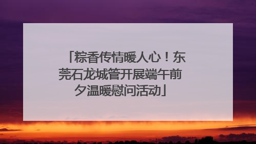 粽香传情暖人心！东莞石龙城管开展端午前夕温暖慰问活动