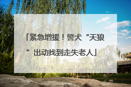 紧急增援！警犬“天狼”出动找到走失老人