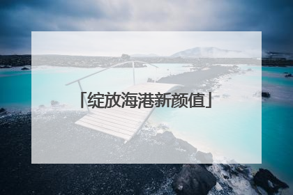 绽放海港新颜值