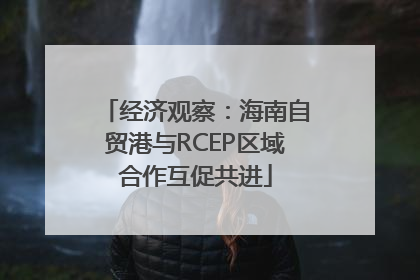 经济观察：海南自贸港与RCEP区域合作互促共进