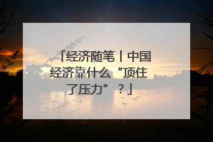 经济随笔丨中国经济靠什么“顶住了压力”？