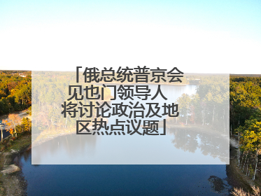 俄总统普京会见也门领导人 将讨论政治及地区热点议题