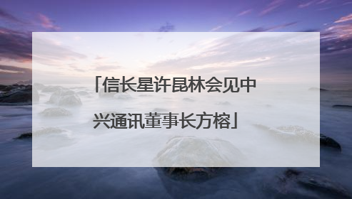 信长星许昆林会见中兴通讯董事长方榕