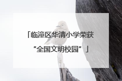 临潼区华清小学荣获“全国文明校园”