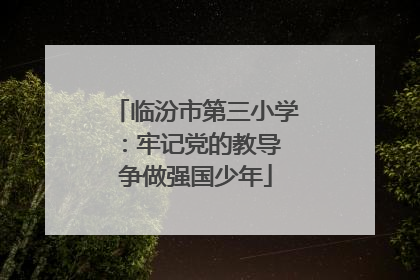 临汾市第三小学：牢记党的教导 争做强国少年
