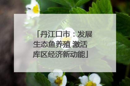 丹江口市：发展生态鱼养殖 激活库区经济新动能