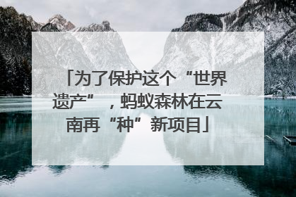 为了保护这个“世界遗产”，蚂蚁森林在云南再“种”新项目