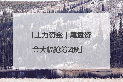 主力资金｜尾盘资金大幅抢筹2股