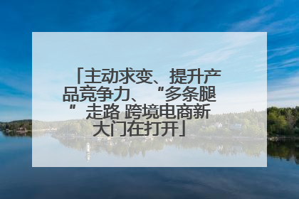 主动求变、提升产品竞争力、“多条腿”走路 跨境电商新大门在打开