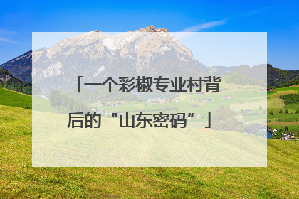 一个彩椒专业村背后的“山东密码”