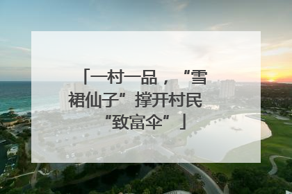 一村一品，“雪裙仙子”撑开村民“致富伞”