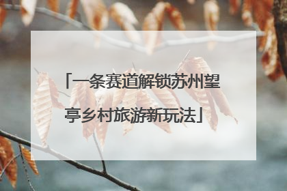 一条赛道解锁苏州望亭乡村旅游新玩法