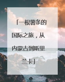 一根薯条的国际之旅，从内蒙古到斯里兰卡