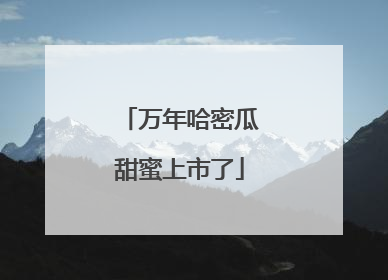万年哈密瓜甜蜜上市了