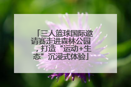 三人篮球国际邀请赛走进森林公园，打造“运动+生态”沉浸式体验