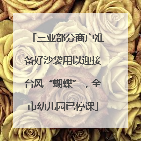 三亚部分商户准备好沙袋用以迎接台风“蝴蝶”，全市幼儿园已停课