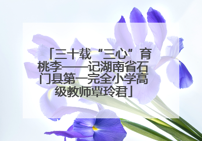 三十载“三心”育桃李——记湖南省石门县第一完全小学高级教师覃玲君