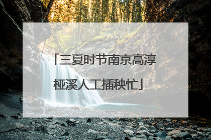 三夏时节南京高淳桠溪人工插秧忙