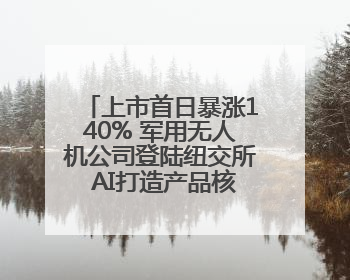 上市首日暴涨140% 军用无人机公司登陆纽交所 AI打造产品核心竞争力