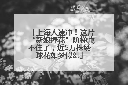 上海人速冲！这片“新娘捧花”阶梯藏不住了，近5万株绣球花如梦似幻