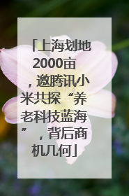 上海划地2000亩，邀腾讯小米共探“养老科技蓝海”，背后商机几何