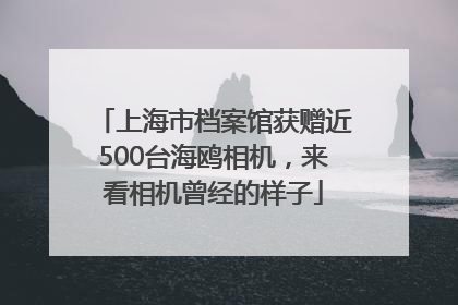 上海市档案馆获赠近500台海鸥相机，来看相机曾经的样子