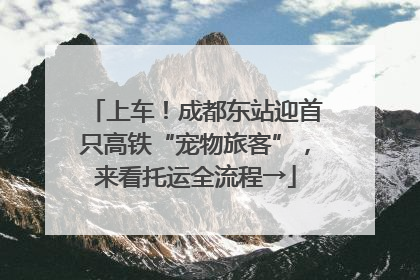 上车！成都东站迎首只高铁“宠物旅客”，来看托运全流程→