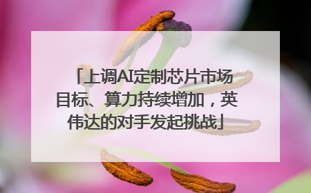 上调AI定制芯片市场目标、算力持续增加，英伟达的对手发起挑战